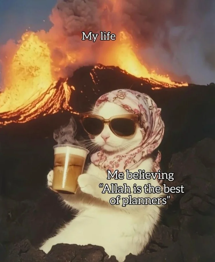 allah's plan