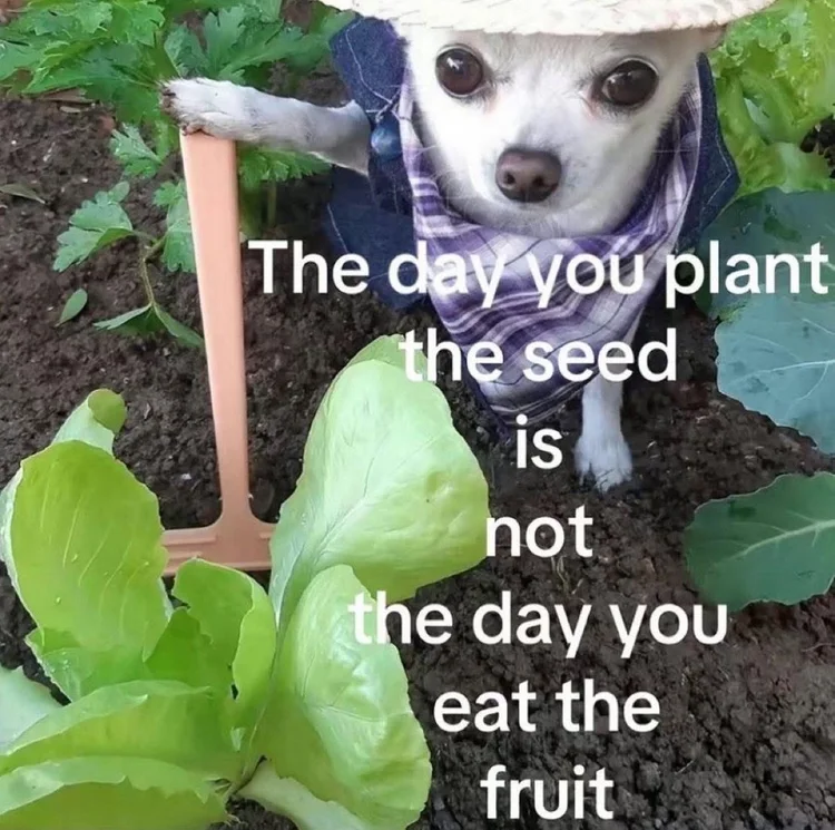 farmer and his dog